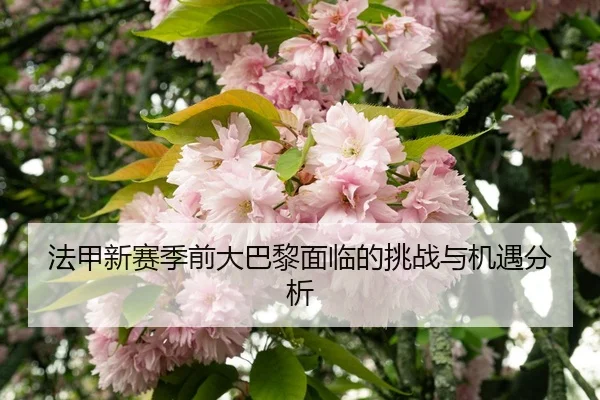法甲新赛季前大巴黎面临的挑战与机遇分析