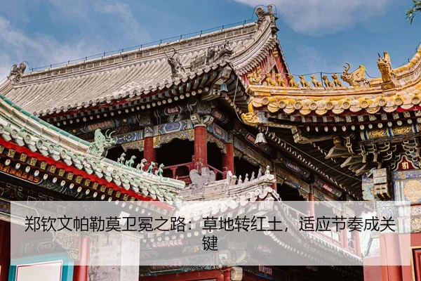 zheng-qin-wen-pa-lei-mo-wei-mian-zhi-lu-cao-di-zhuan-hong-tu-shi-ying-jie-zou-cheng-guan-jian-3-184.jpg