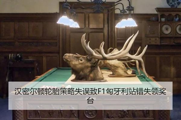 han-mi-er-dun-lun-tai-ce-lve-shi-wu-zhi-xiong-ya-li-zhan-cuo-shi-ling-jiang-tai-2-330.jpg