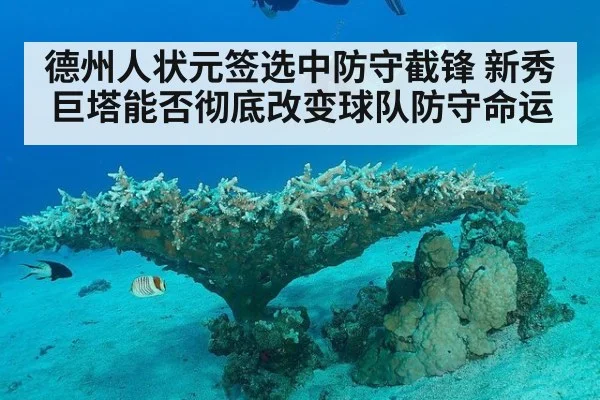 德州人状元签选中防守截锋 新秀巨塔能否彻底改变球队防守命运